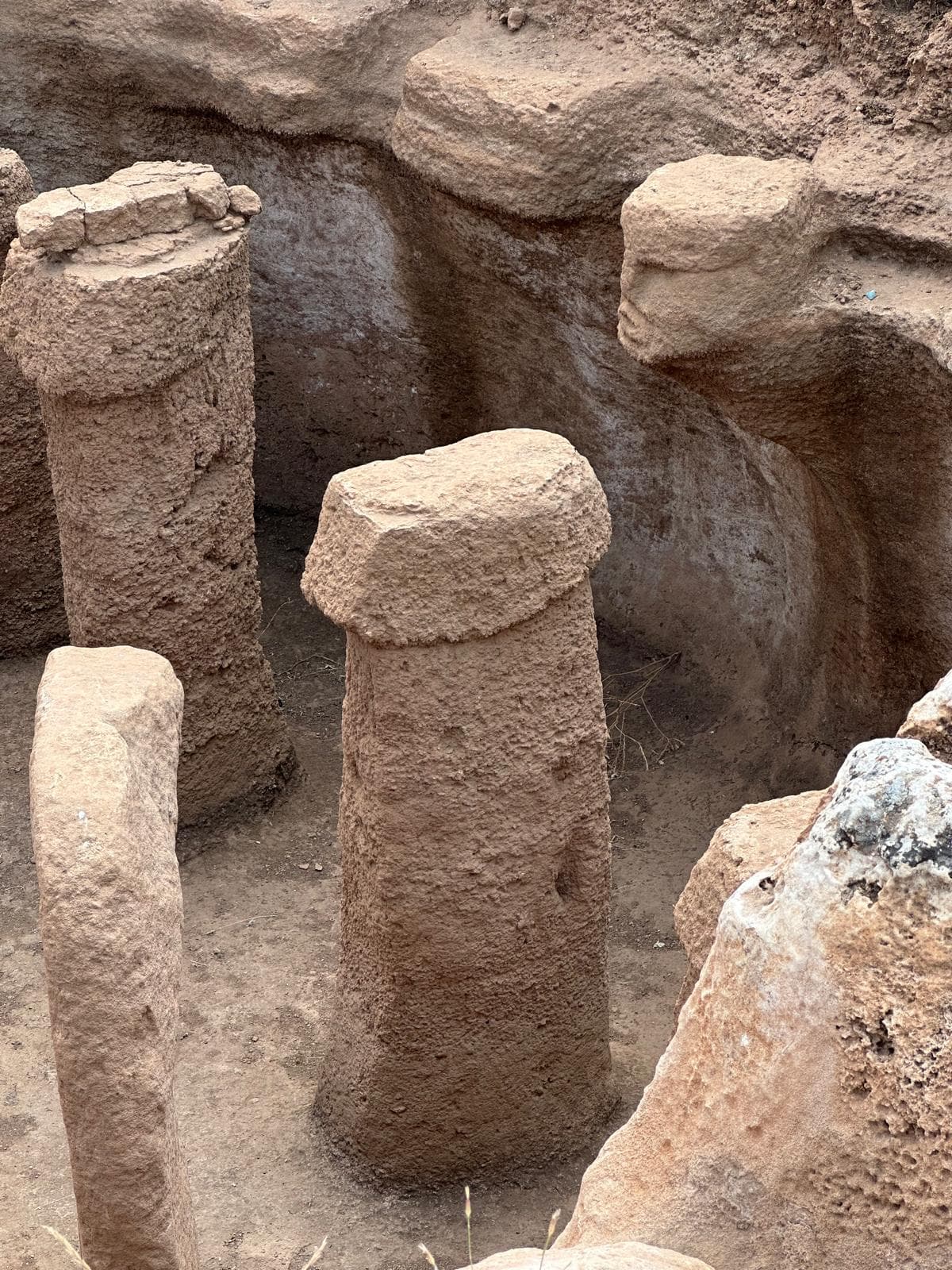 Göbekli Tepe & Karahan Tepe Private Day Tour