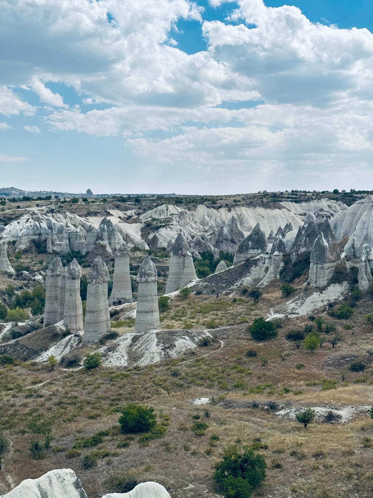 Day Trip Mount Nemrut with Flights